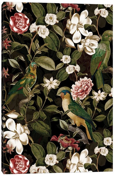Lush Midnight Magnolia Birds And Flower Garden Canvas Art Print - Magnolia Art