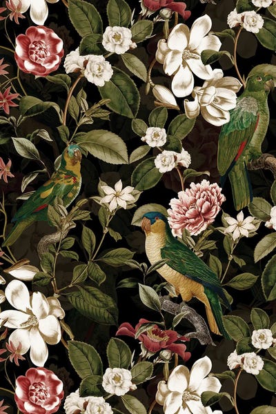 Magnolias: Lush Midnight Magnolia Birds And Flower Garden by UtArt