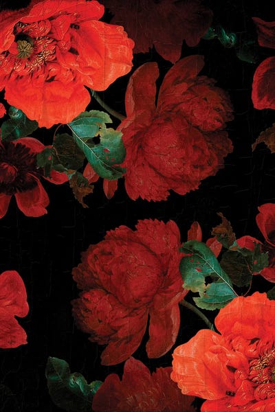 Antique Dutch Vintage Poppies Garden