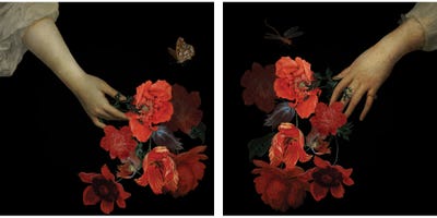 Hand With Poppy Flowers Diptych by UtArt multi panel art