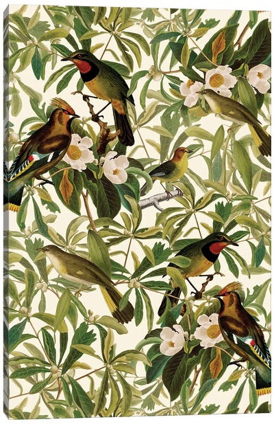 Tropical Birds And Magnolia Flowers Canvas Art Print - Magnolia Art
