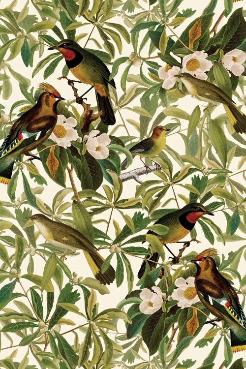 Tropical Birds And Magnolia Flowers