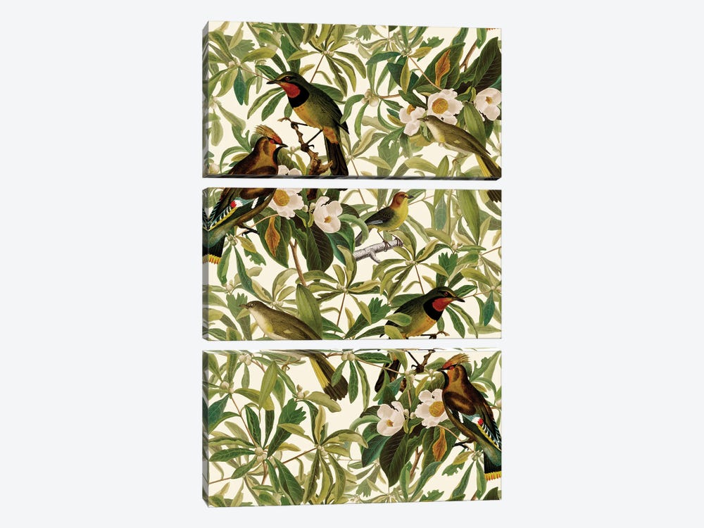 Tropical Birds And Magnolia Flowers by UtArt 3-piece Canvas Print