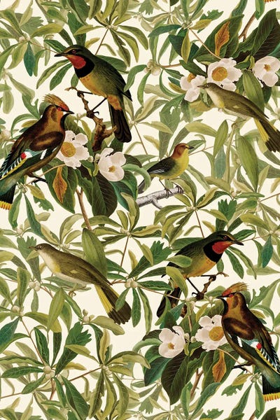 Magnolias: Tropical Birds And Magnolia Flowers by UtArt