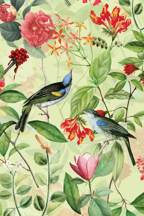 Lush Tropical Birds And Flowers