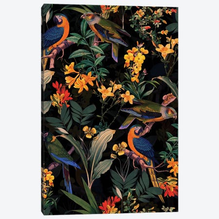 Colorful Parrots Midnight Jungle Canvas Print #UTA309} by UtArt Canvas Art Print