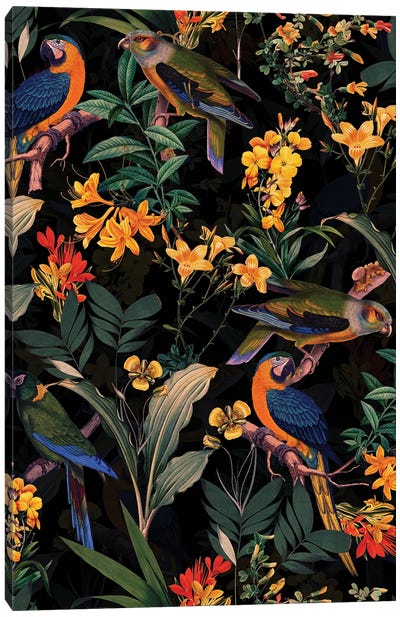Colorful Parrots Midnight Jungle Canvas Art Print - Parrot Art