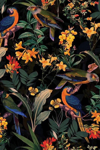 UtArt: Colorful Parrots Midnight Jungle by UtArt