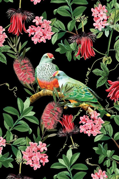 Exotic Colorful Birds And Flowers Jungle