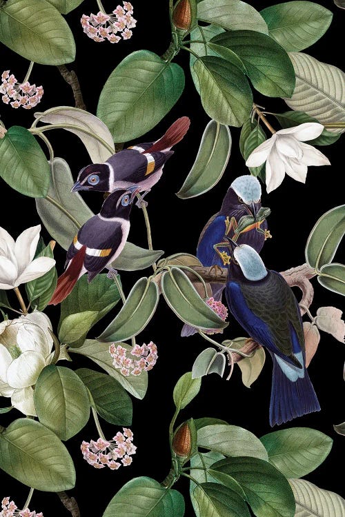 Exotic Blue Birds With Magnolia Flowers - Black