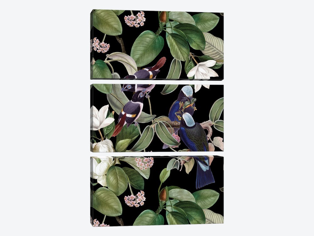 Exotic Blue Birds With Magnolia Flowers - Black by UtArt 3-piece Canvas Art Print