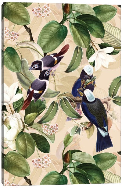 Exotic Blue Birds With Magnolia Flowers - Beige Canvas Art Print - Magnolia Art