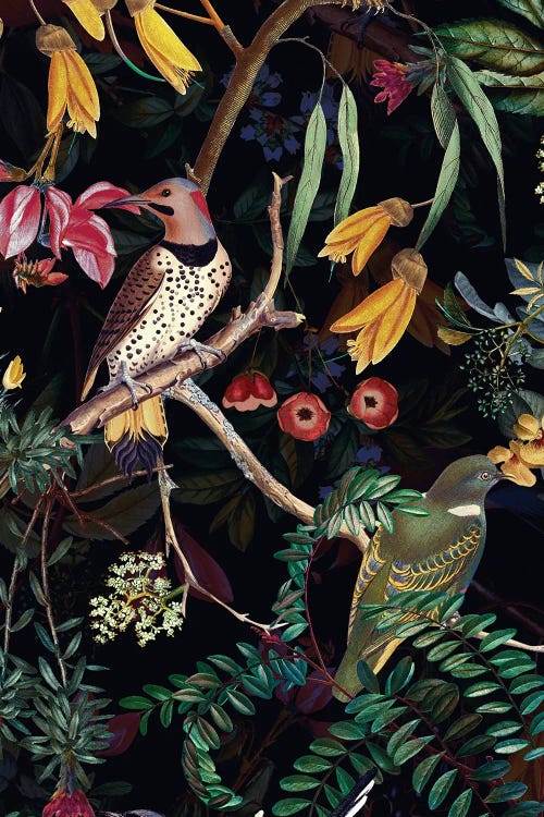 Exotic Night Birds In Flower Jungle