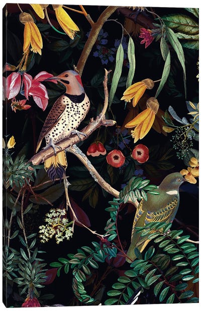 Exotic Night Birds In Flower Jungle Canvas Art Print - UtArt