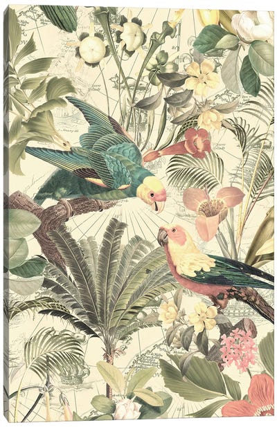Tropical Birds Vintage Jungle Canvas Art Print - UtArt
