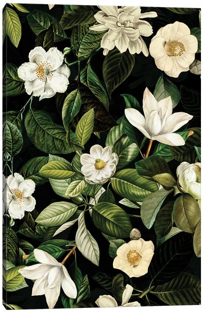 Vintage Night Magnolia Garden Canvas Art Print - Magnolia Art