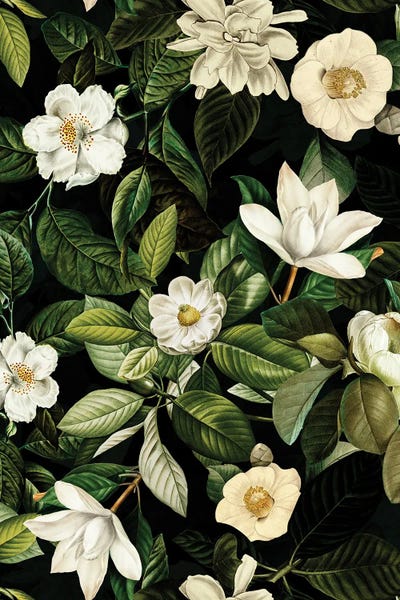 Magnolias: Vintage Night Magnolia Garden by UtArt