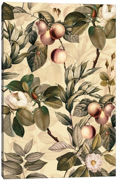 Tropical Fruits And Magnolia Garden Canvas Art Print - Magnolia Art