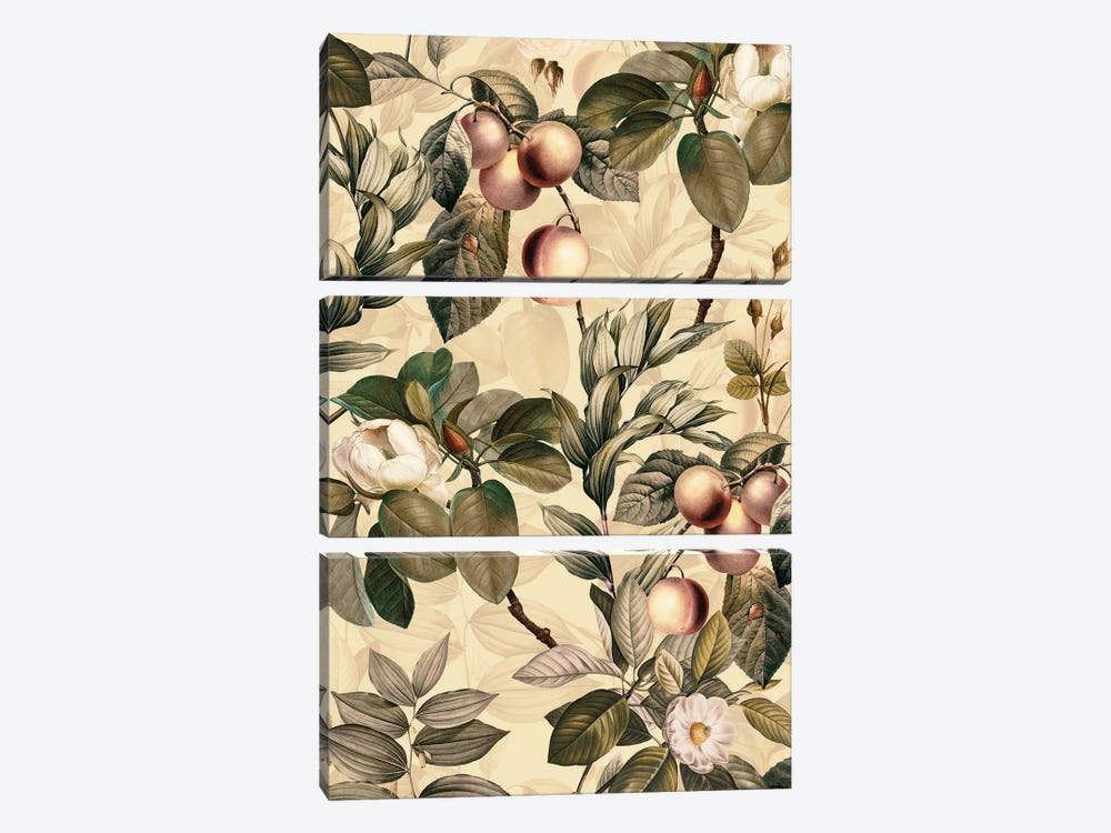 Tropical Fruits And Magnolia Garden by UtArt 3-piece Art Print