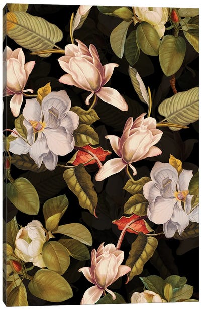 White Vintage Magnolia Night Garden Canvas Art Print - Magnolia Art