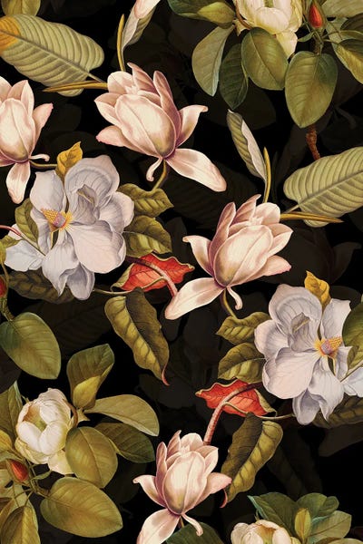 Magnolias: White Vintage Magnolia Night Garden by UtArt