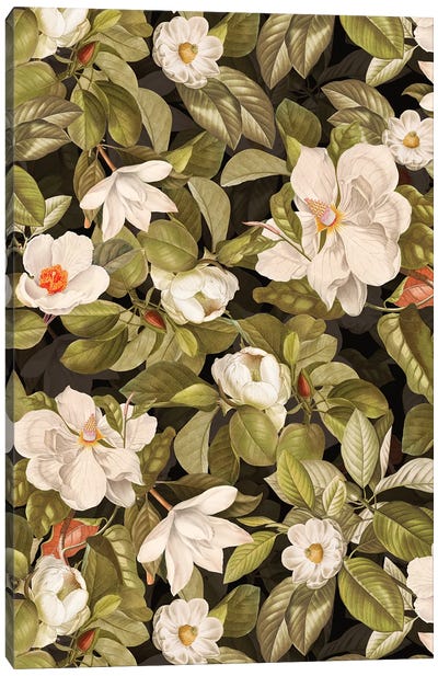 Vintage Magnolias Canvas Art Print - Magnolia Art