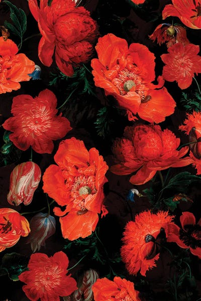 Antique Jan Davidsz. De Heem Lush Poppies Flower Garden