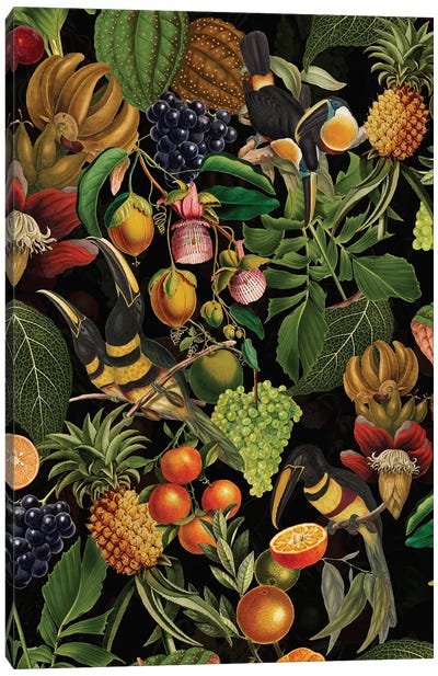 Tropical Toucan Birds And Fruits Midnight Jungle Canvas Art Print - Toucan Art