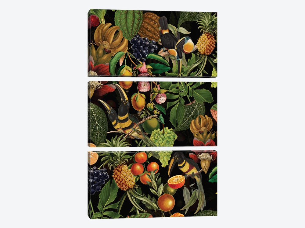 Tropical Toucan Birds And Fruits Midnight Jungle by UtArt 3-piece Art Print