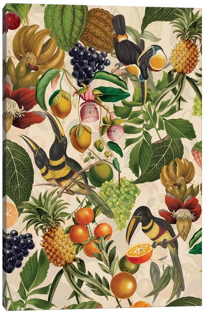 Tropical Toucan Birds And Fruits Jungle Canvas Art Print - Toucan Art