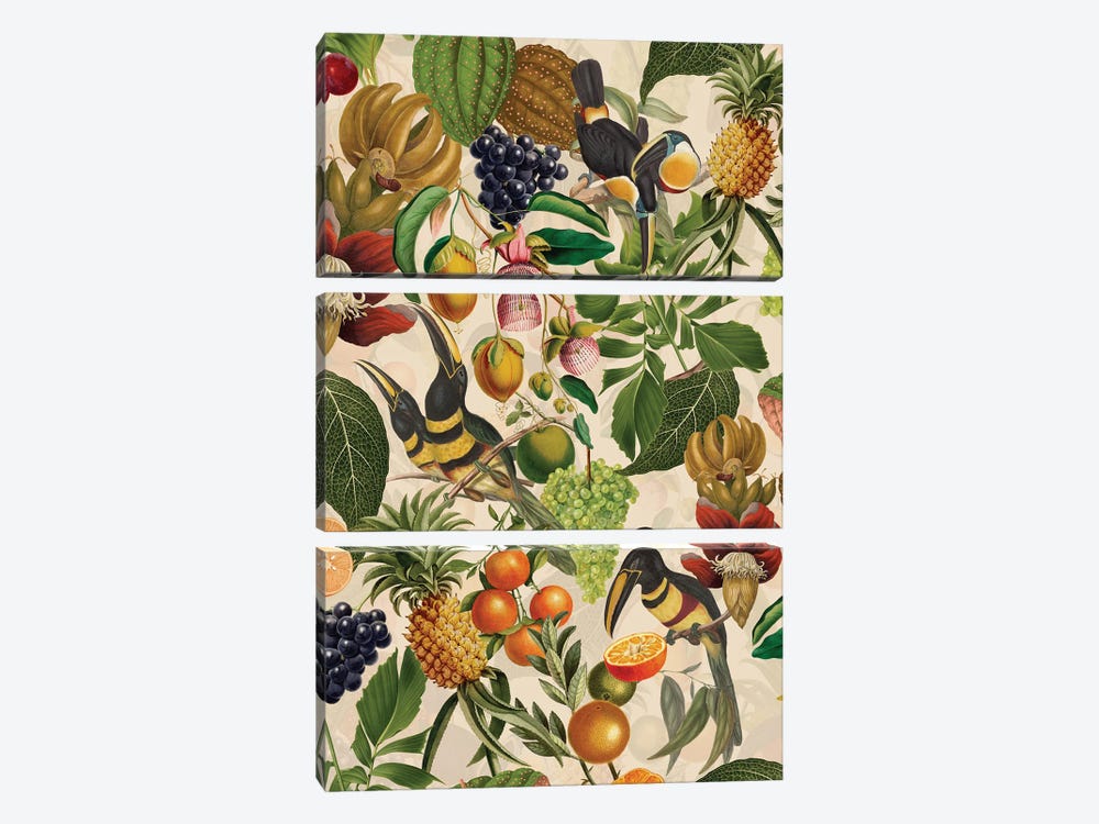 Tropical Toucan Birds And Fruits Jungle by UtArt 3-piece Canvas Art