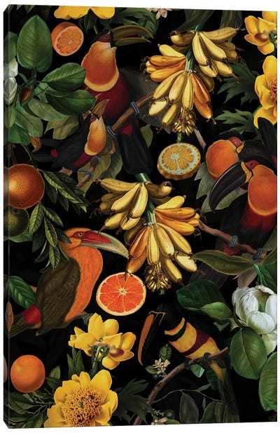Exotic Toucan Birds And Fruits Midnight Jungle Canvas Art Print - Toucan Art