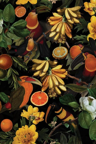 UtArt: Exotic Toucan Birds And Fruits Midnight Jungle by UtArt
