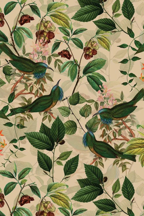 Tropical Birds And Branches Midnight Jungle