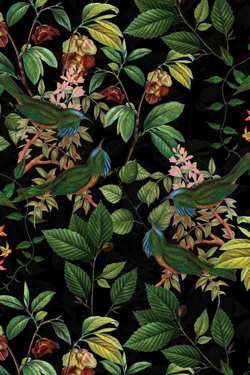 Tropical Birds And Flowers Midnight Jungle