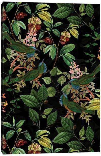 Tropical Birds And Flowers Midnight Jungle Canvas Art Print - UtArt