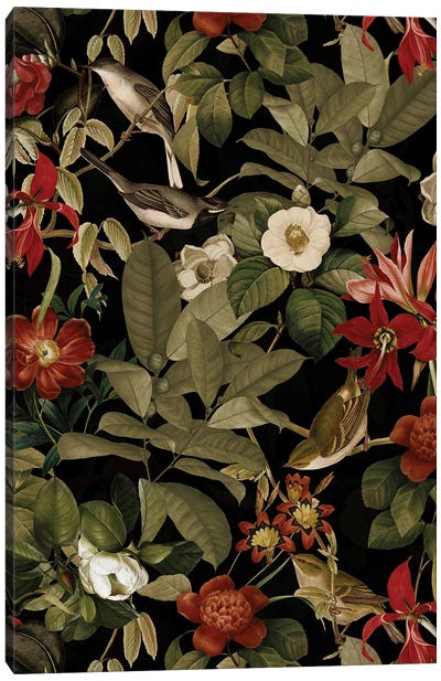 Tropical Birds And Red Flowers Midnight Jungle Canvas Art Print - UtArt