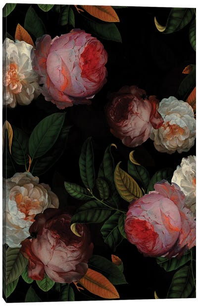 Antique Jan Davidsz. De Heem Roses Night Garden Canvas Art Print - Grandpa Chic