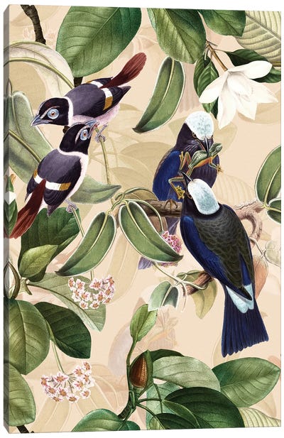Exotic Blue Birds And Tropical Magnolia Flowers Garden Canvas Art Print - Magnolia Art