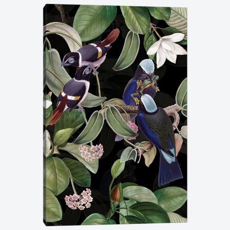 Exotic Blue Birds And Tropical Magnolia Flowers Midnight Garden Canvas Print #UTA354} by UtArt Art Print