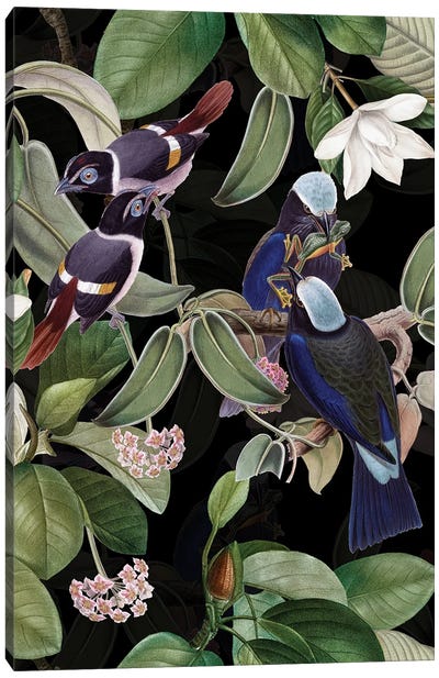 Exotic Blue Birds And Tropical Magnolia Flowers Midnight Garden Canvas Art Print - UtArt