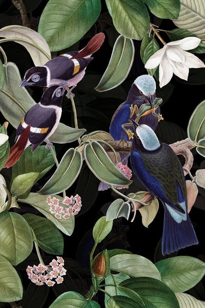 Magnolias: Exotic Blue Birds And Tropical Magnolia Flowers Midnight Garden by UtArt