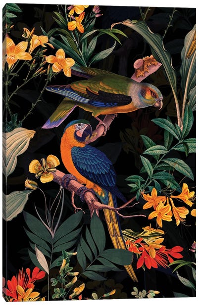 Exotic Parrot Birds And Tropical Flowers Midnight Garden Canvas Art Print - UtArt