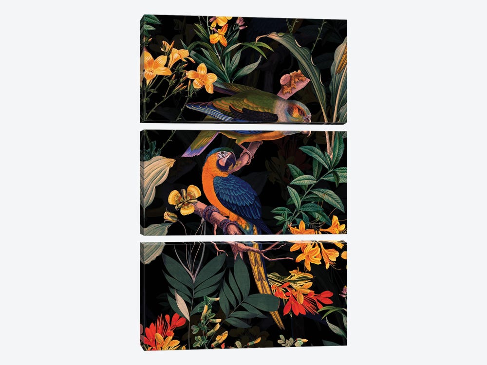 Exotic Parrot Birds And Tropical Flowers Midnight Garden by UtArt 3-piece Canvas Art Print