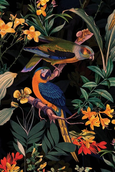 UtArt: Exotic Parrot Birds And Tropical Flowers Midnight Garden by UtArt