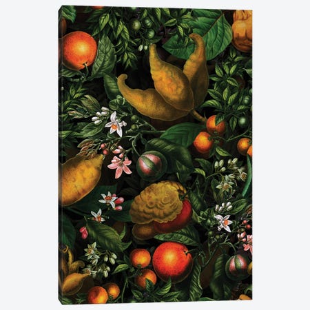 Antique Lemons Garden Canvas Print #UTA35} by UtArt Canvas Artwork