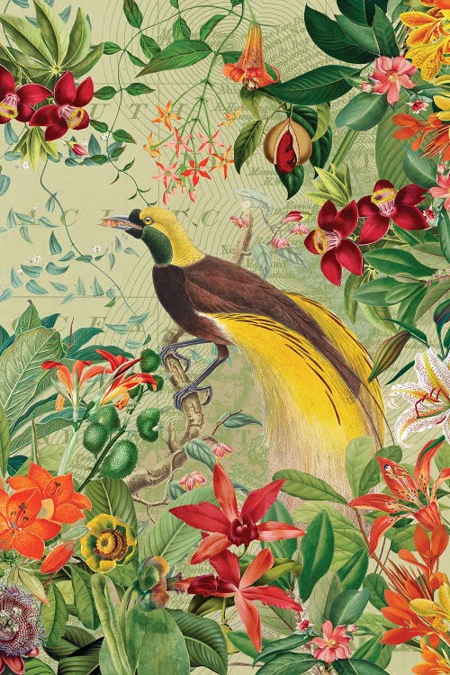 Vintage Paradise Bird In Tropical Jungle