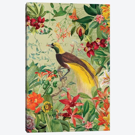 Vintage Paradise Bird In Tropical Jungle Canvas Print #UTA361} by UtArt Canvas Print