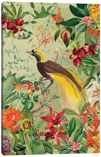 Vintage Paradise Bird In Tropical Jungle Canvas Art Print - UtArt