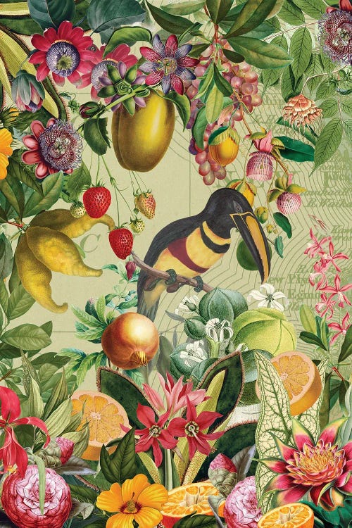 Vintage Toucan In Paradise Jungle